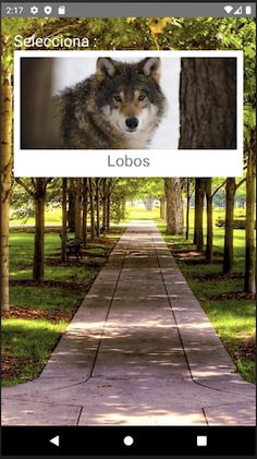 Rompecabezas de Lobos - Screenshot 1