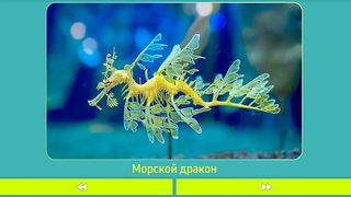 Животные для детей - Screenshot 3