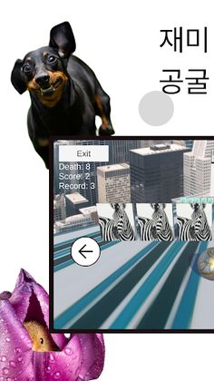 You Got Balls: 3D 공굴리기 - Screenshot 3