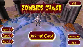 Zombies Chase - Screenshot 1