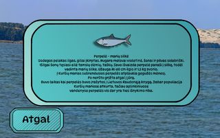 ŽvejOK - Screenshot 2