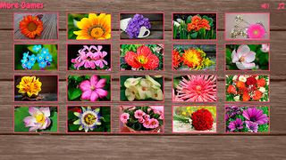 Puzzles for adults flowers - Screenshot 2