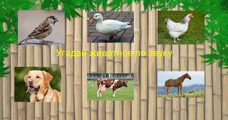 Угадай животное - Screenshot 2