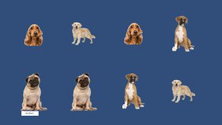 Dogs Pair Matching Game - Screenshot 2