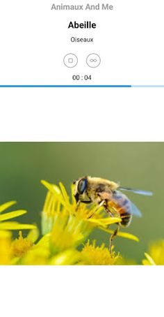 Animaux And Me - Screenshot 4