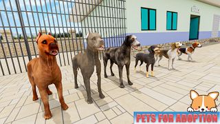 Animal Shelter: Pet World Game - Screenshot 2