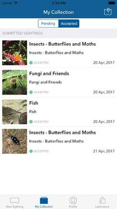Ranger Vision - Screenshot 2