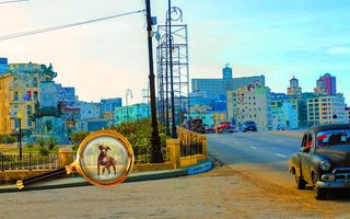 Find a Dog 2 - Hidden Object - Screenshot 3