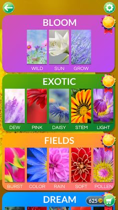 Wordscapes In Bloom - Screenshot 3