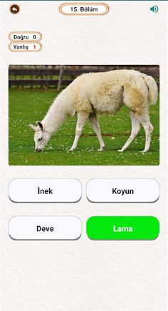 Hayvan Ses, Resim ve Bilgileri - Screenshot 3