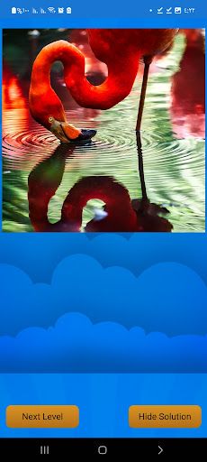 Flamingo Puzzle - Screenshot 1