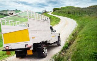 Pickup Truck Driving Simulator - Screenshot 3