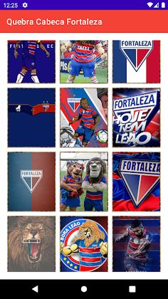 Quebra-Cabeça Fortaleza Leoes - Screenshot 3