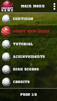 Blind Cricket - Screenshot 1