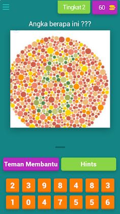 Tes buta warna terlengkap - Screenshot 3