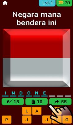 196 Bendera di Dunia - Screenshot 2