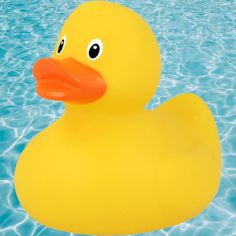 Pato Girando - Screenshot 1