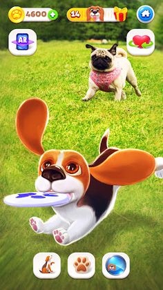 Tamadog - Puppy Pet Dog Games - Screenshot 3