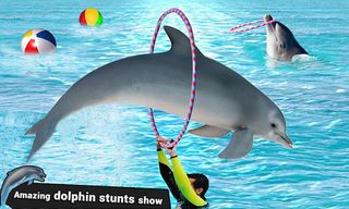 Dolphin Water Stunts Show - Screenshot 2