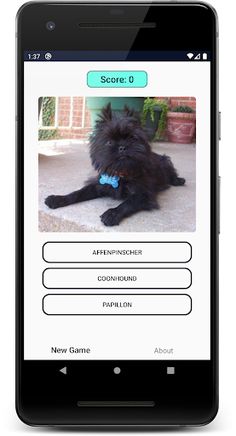 Dogs Quiz: Guess and Learn the - Screenshot 2