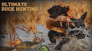 Deer Jungle Hunting Sniper - Screenshot 1