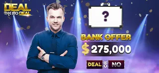Deal The Big Deal - Screenshot 1