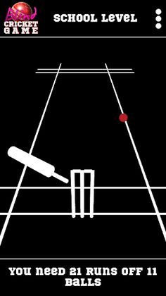Blind Cricket - Screenshot 4