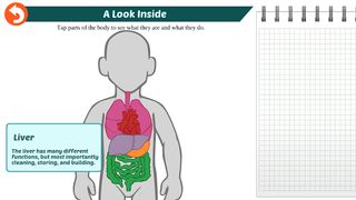 Jadyn's Journey to Health: Lif - Screenshot 1