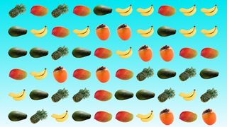 Fruit Crush - Screenshot 3