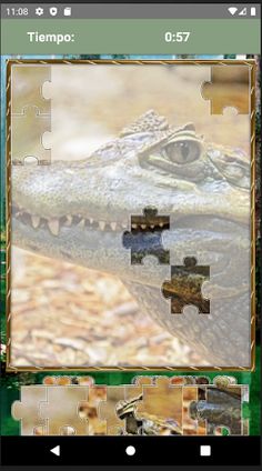 Rompecabezas de Cocodrilos - Screenshot 4