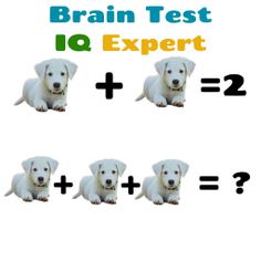 Brain Test - IQ Expert - Screenshot 4