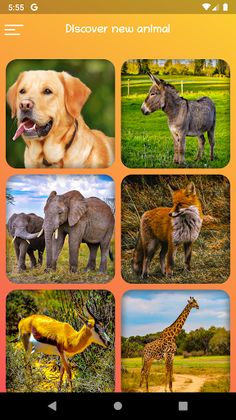 Animals - Slide Puzzle - Screenshot 3