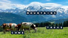 Word Search - Word Puzzle Game - Screenshot 4