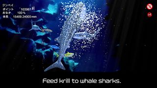 Whale shark that grows calmly - Screenshot 2