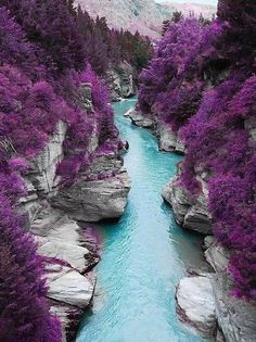 Nature Jigsaw Puzzle - Screenshot 1