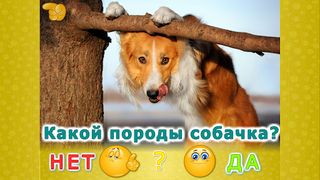 Животные для детей и малышей - Screenshot 3