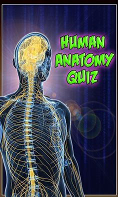 Human Anatomy Education Quiz - Screenshot 1