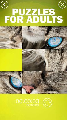 Puzzles For Adults - Screenshot 2