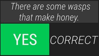 Yes/No Quiz Game - Screenshot 3