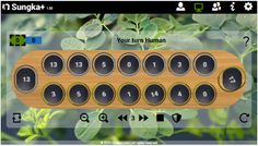 Sungka_Plus - Screenshot 4