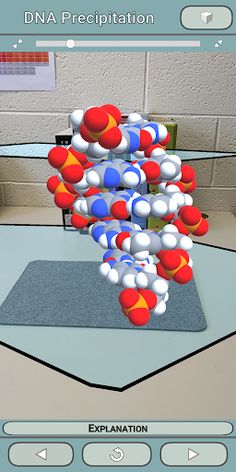 DNA Precipitation - Screenshot 1