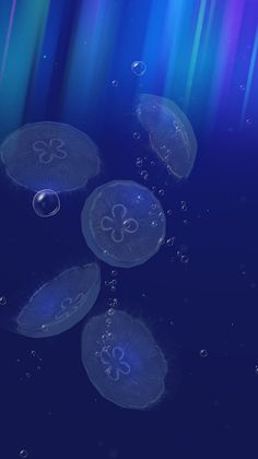 Jellyfish - Appreciation - Screenshot 3