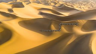 Shai-Hulud - Screenshot 3