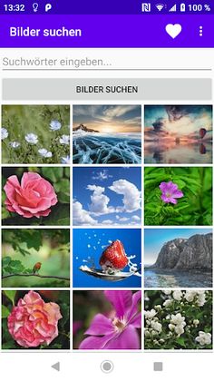 Vier zu Eins - Screenshot 1