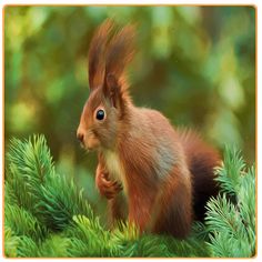 Squirrel Run Flying - Screenshot 1