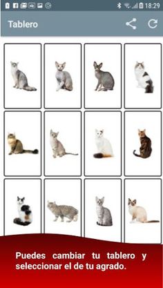 Baraja y Carta - Lotería Gatit - Screenshot 4