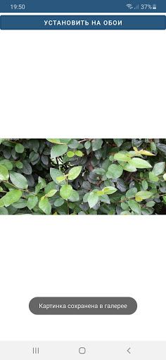 Vivid collection по непр. глаг - Screenshot 1