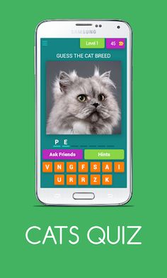 CATS QUIZ - Screenshot 1