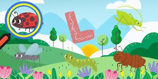 I Spy Backyard Bugs - Insects - Screenshot 3