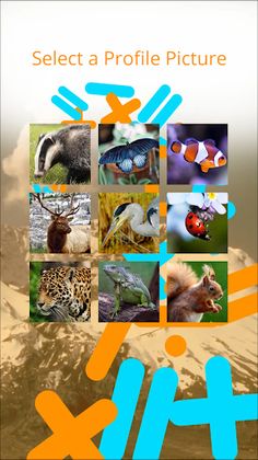 Mathlands: Variable Unknown - Screenshot 2